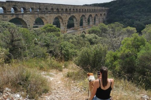 pont du gard aqueduc