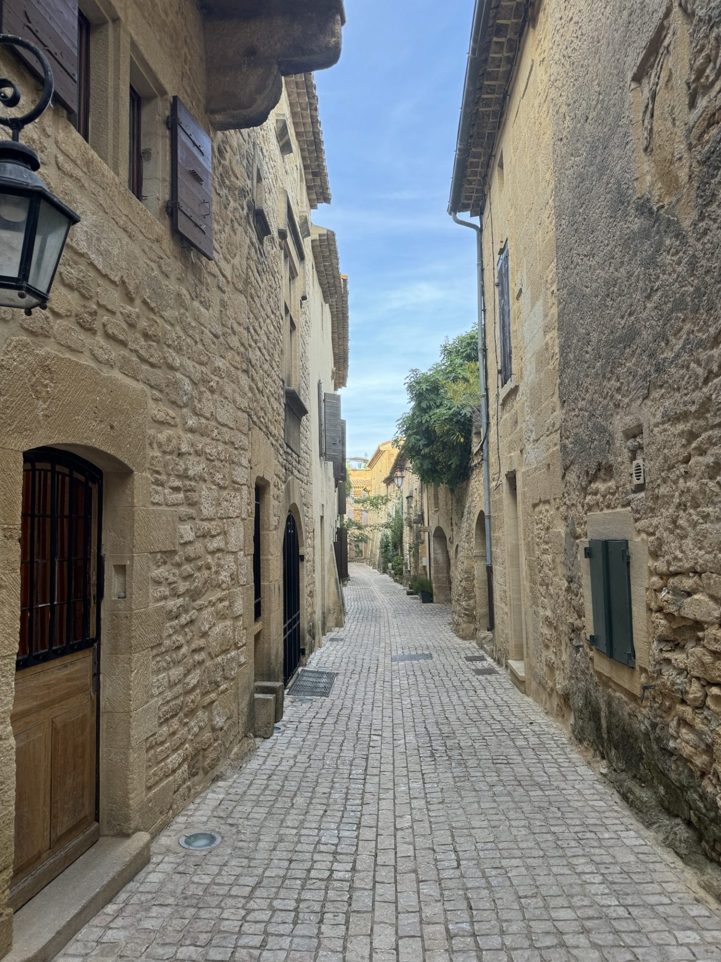 le vieux castillon du gard