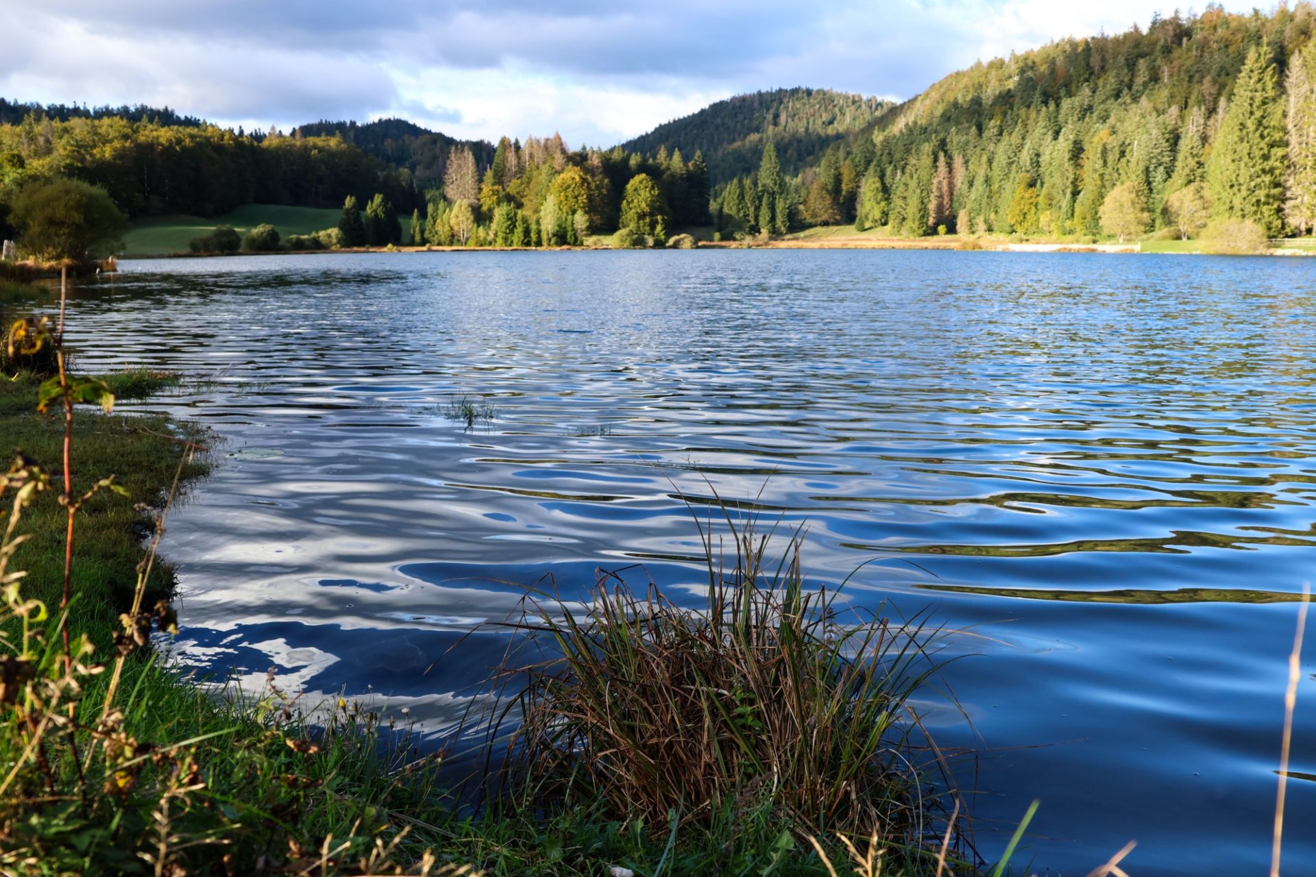 lac genin