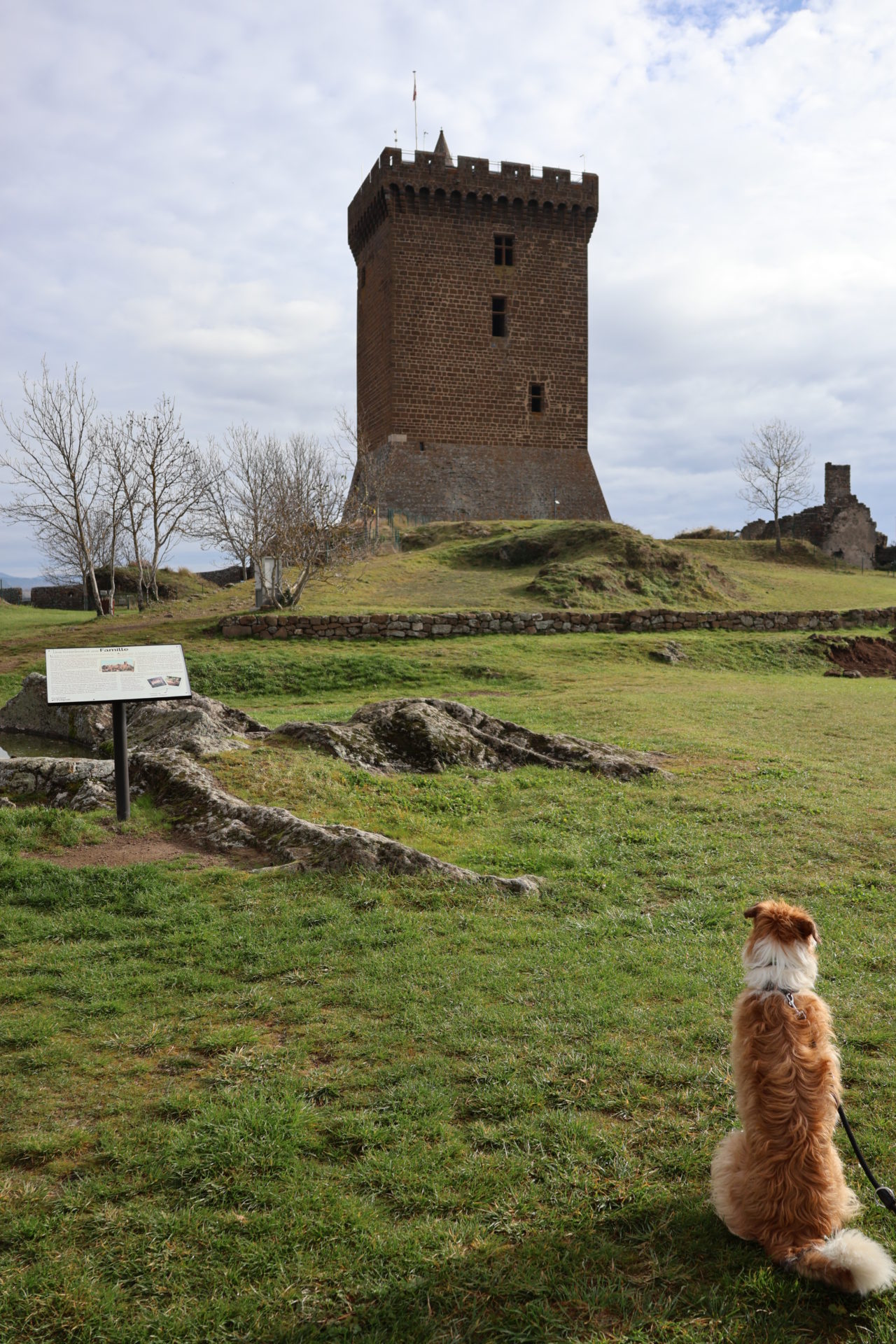 forteresse de polignac chien