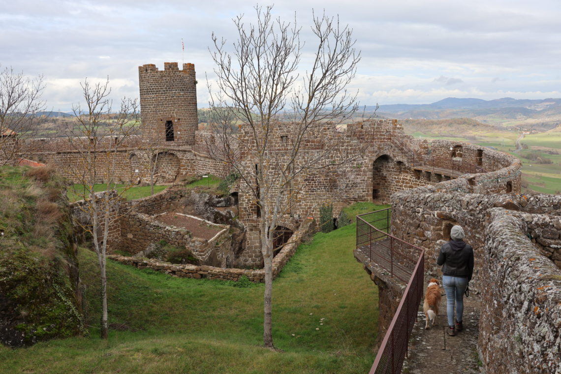 forteresse de polignac chien