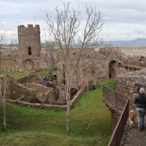 forteresse de polignac chien