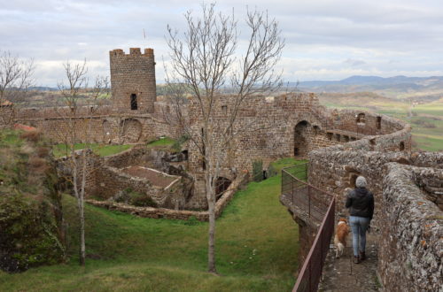 forteresse de polignac chien