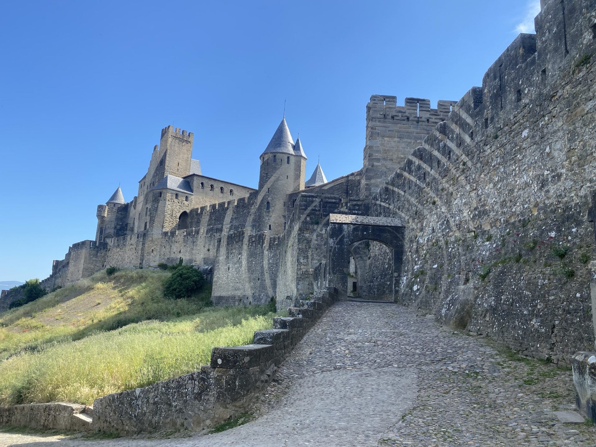 cité de carcassonne chien