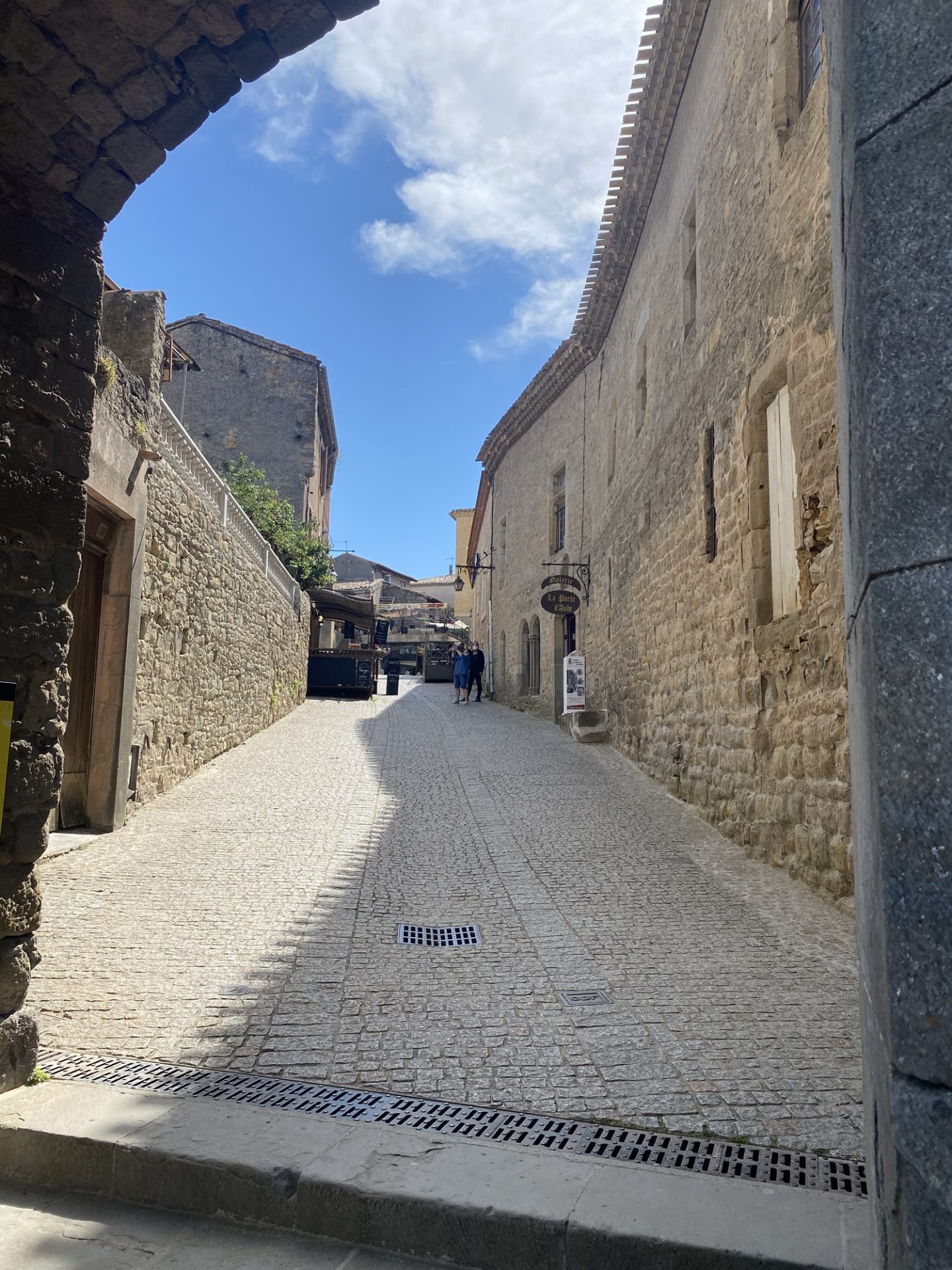 cité de carcassonne chien