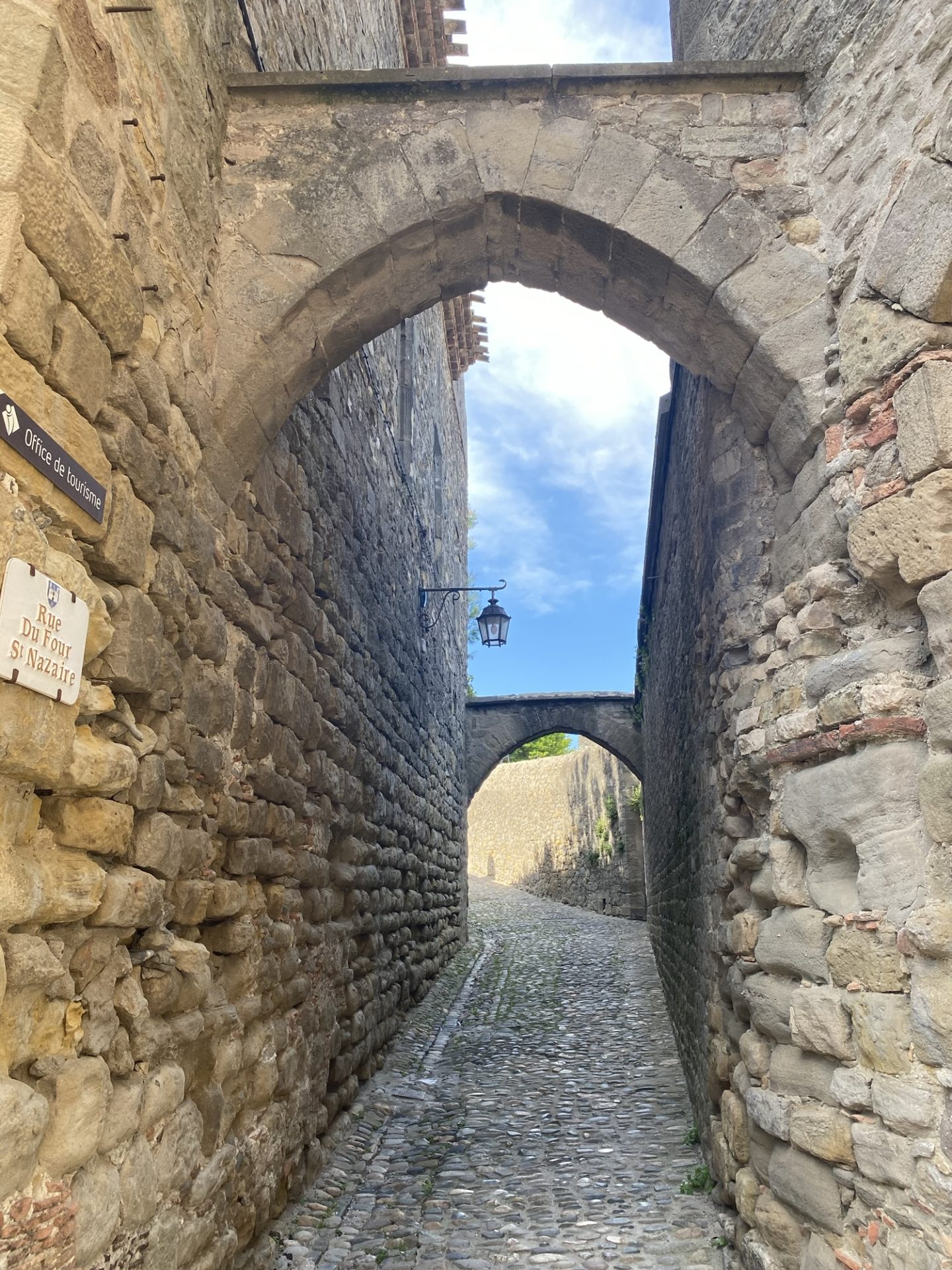 cité de carcassonne chien