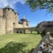 cité de carcassonne chien