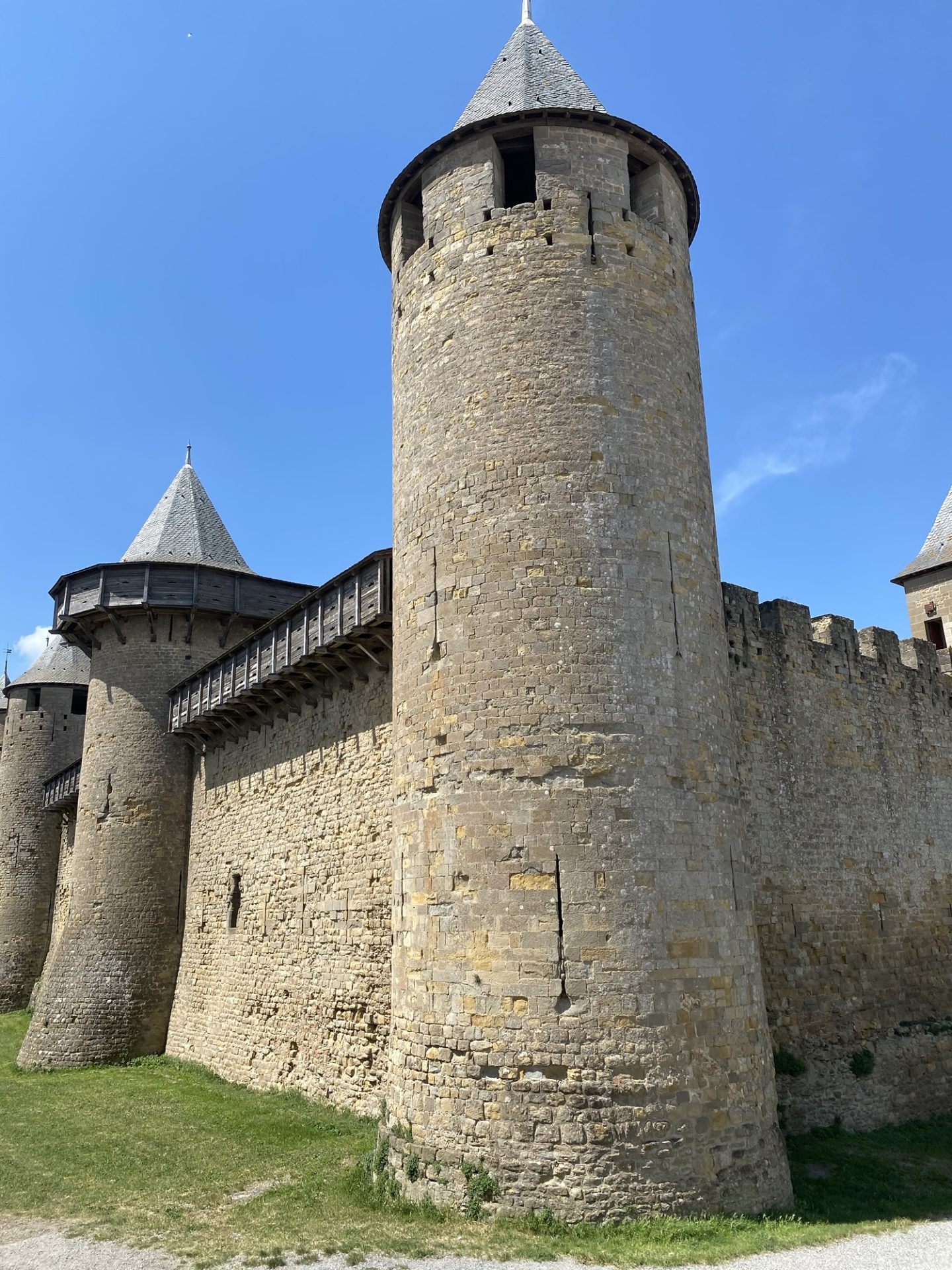 cité de carcassonne chien